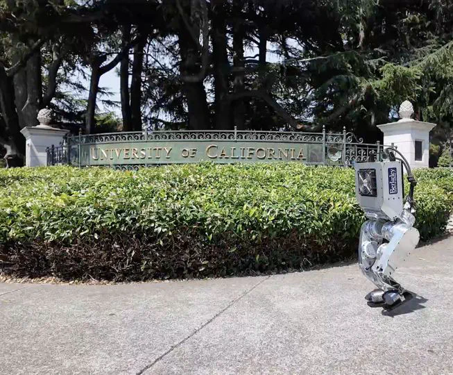 Berkeley Humanoid
