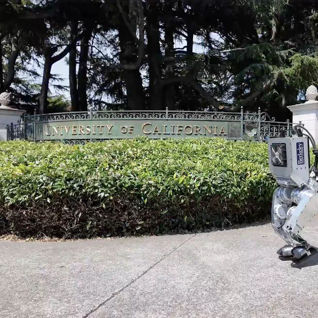 Berkeley Humanoid
